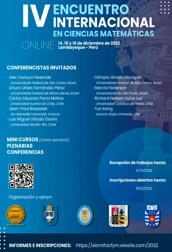 Imagen de edición previa